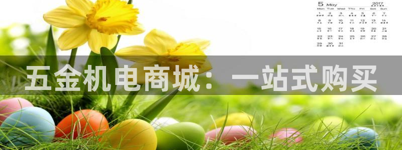 天宏娱乐运营29229