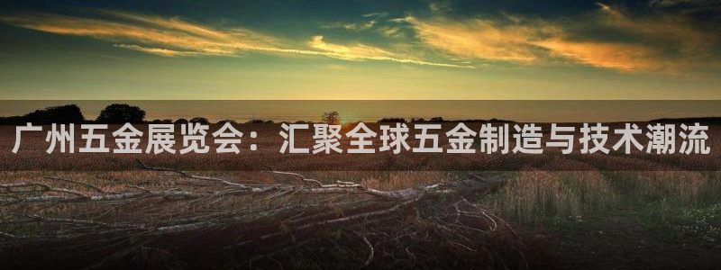 天宏娱乐张叔