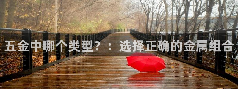 天宏娱乐小号怎么玩视频