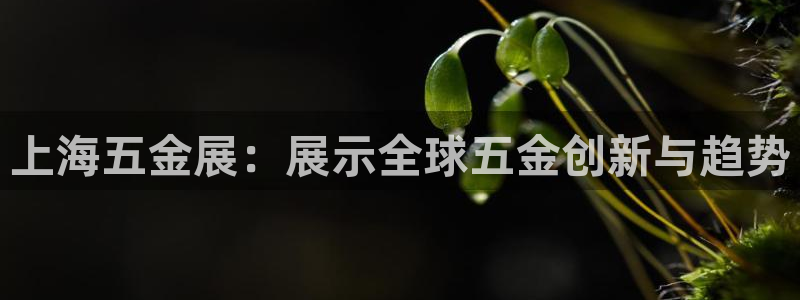 东莞天宏娱乐