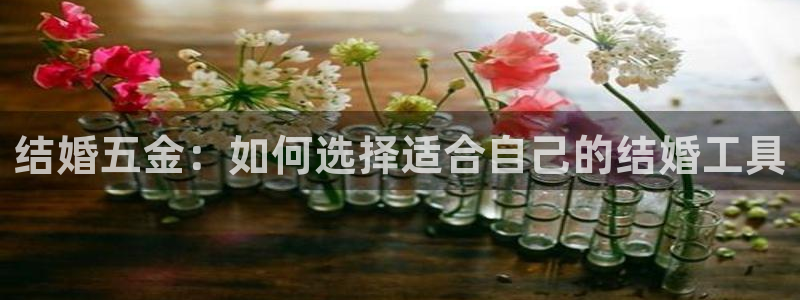 天宏娱乐3