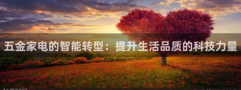 天鲸正宏娱乐是什么