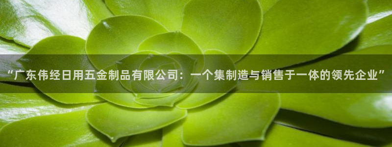 天宏娱乐老季