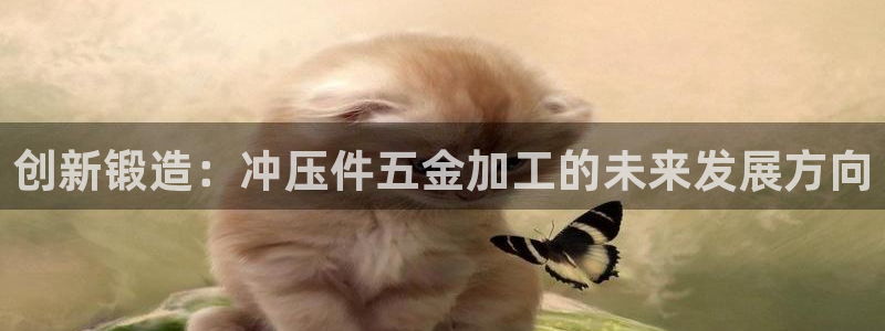 天宏娱乐集团