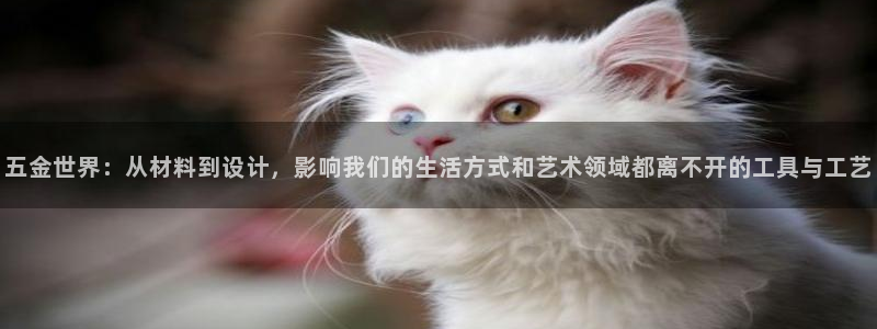 西安天宏娱乐直播间