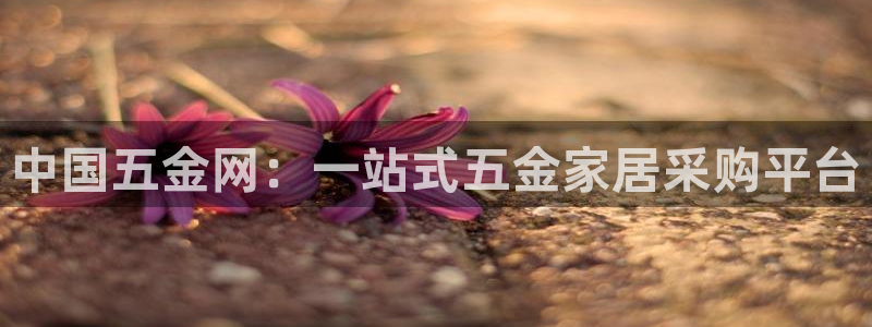 天宏娱乐金叔