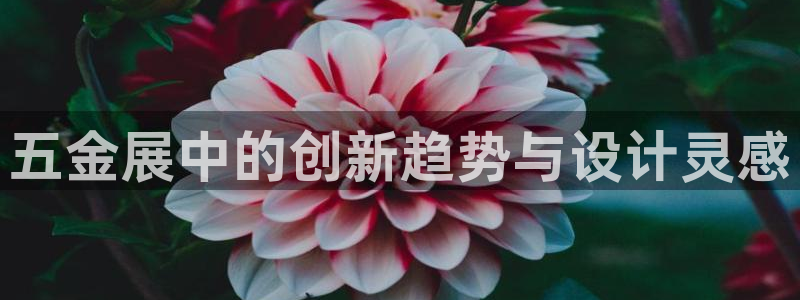 广州宏创天美娱乐文化