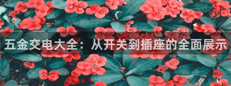 天宏娱乐豆豆