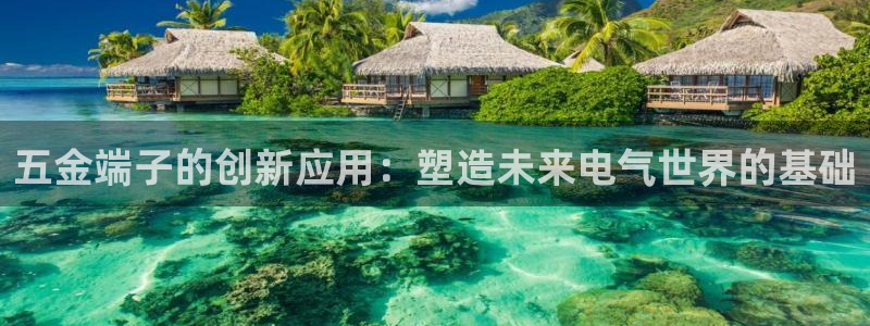 天宏娱乐老男孩吴叔