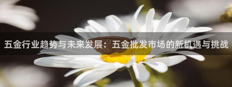 天宏娱乐m 判官