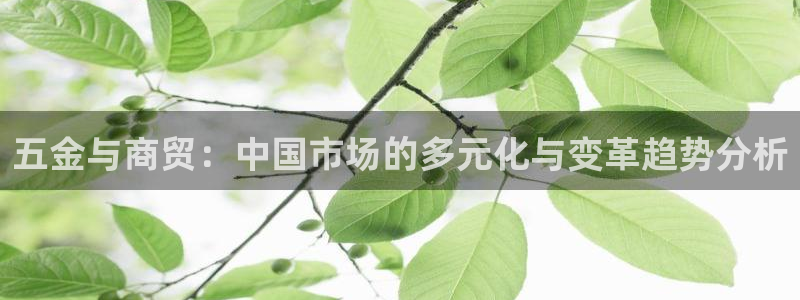 天宏娱乐梁善良