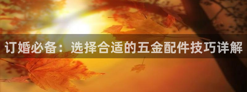 天宏娱乐家