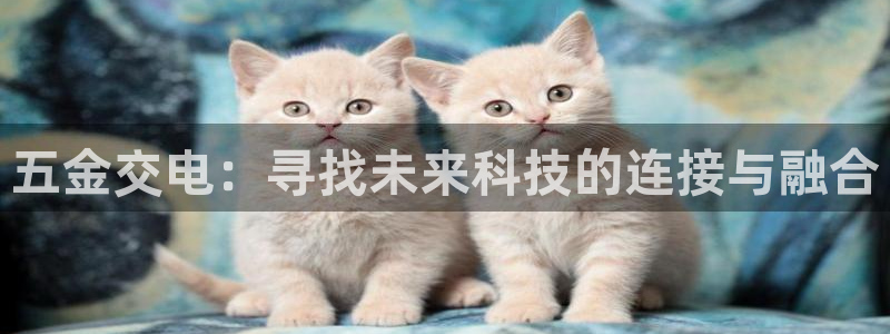 天宏娱乐登陆
