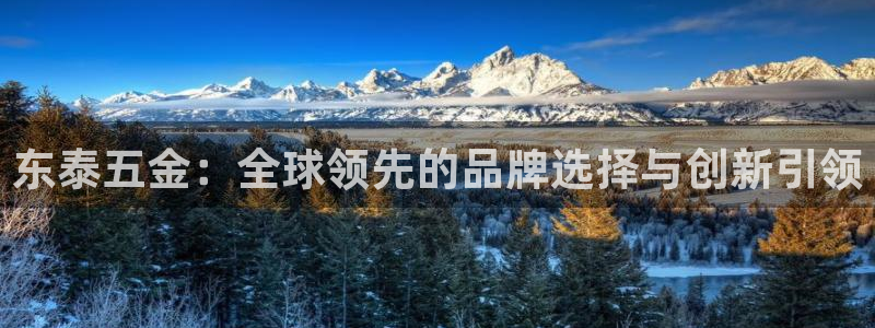 天宏娱乐晨叔