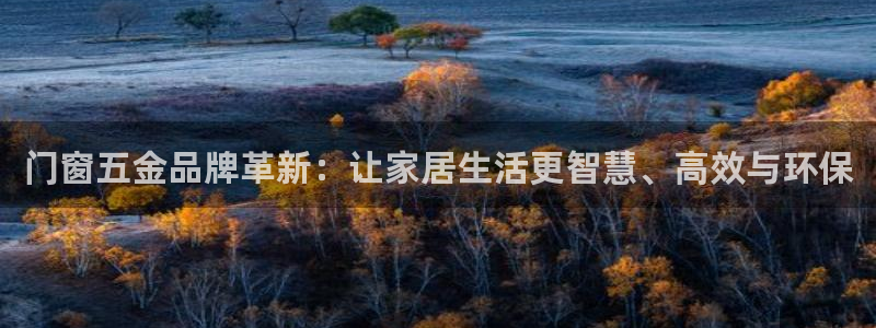 天宏娱乐金大叔