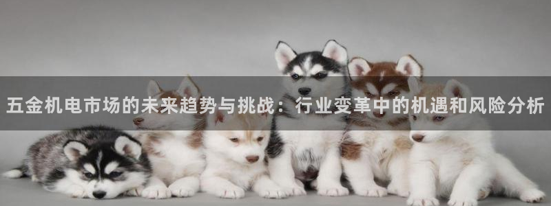 天宏娱乐星歌总部