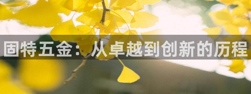 天宏娱乐创始人