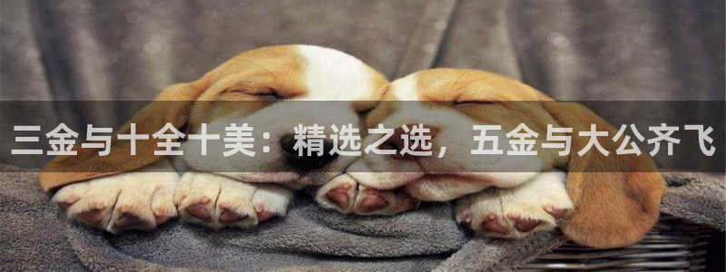 天宏娱乐会所