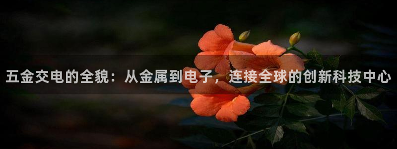 天宏娱乐倒闭了吗