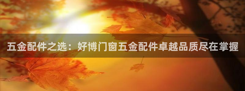 天宏娱乐818