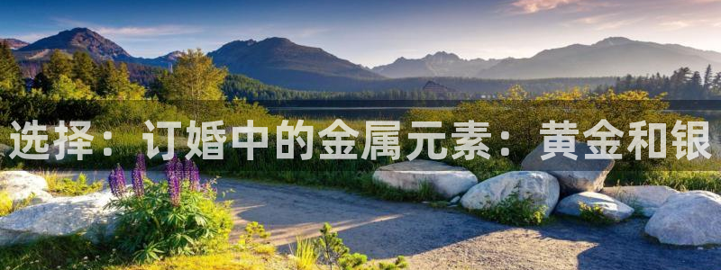 天宏娱乐金叔