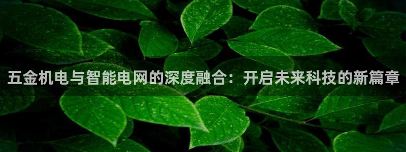 天宏娱乐卢叔