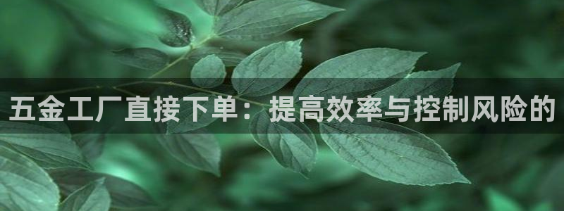 天宏娱乐旗下的网红