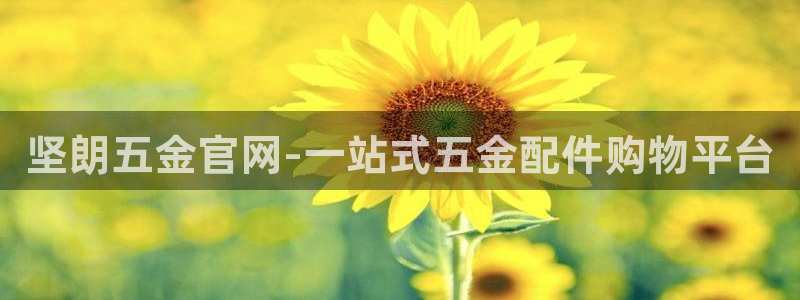 西安天宏娱乐团