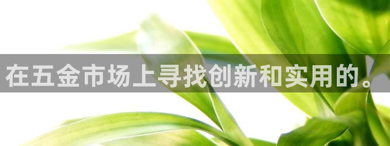 天宏娱乐的老板是谁