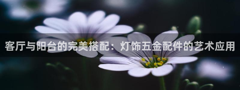 天宏娱乐会所地址在哪里